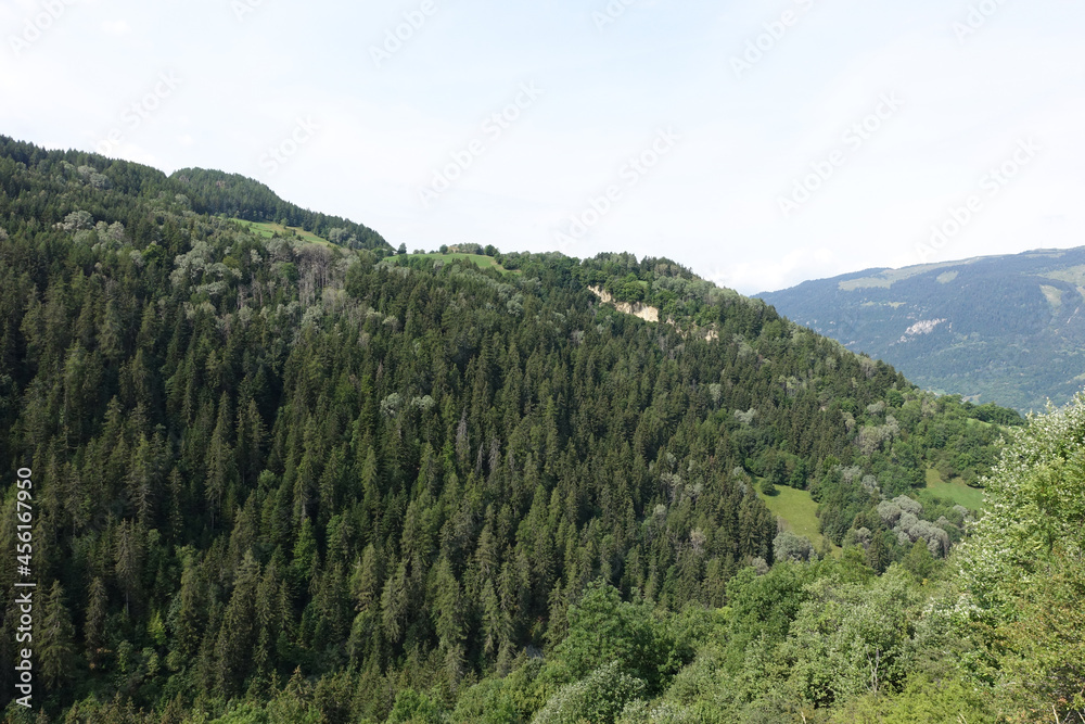Vue sur une forêt en Savoie