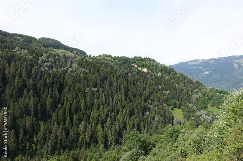 Vue sur une for  t en Savoie