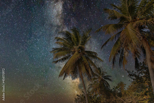 the southern night sky and palm trees