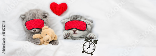 Two cute kittens wearing sleeping masks sleep together with red heart under blanket on a bed at home. One kitten holds alarm clock, the other hugs toy bear. Top down view. Empty space for text