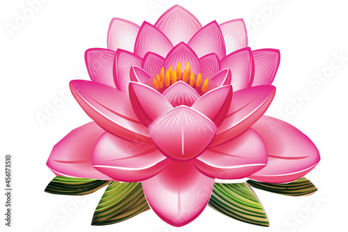 pink lotus flower