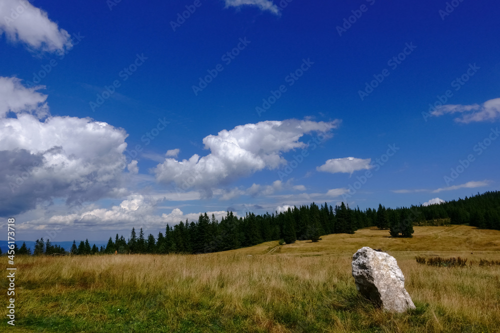 single stone in a meadow on a mountain landscape with trees and blue sky
