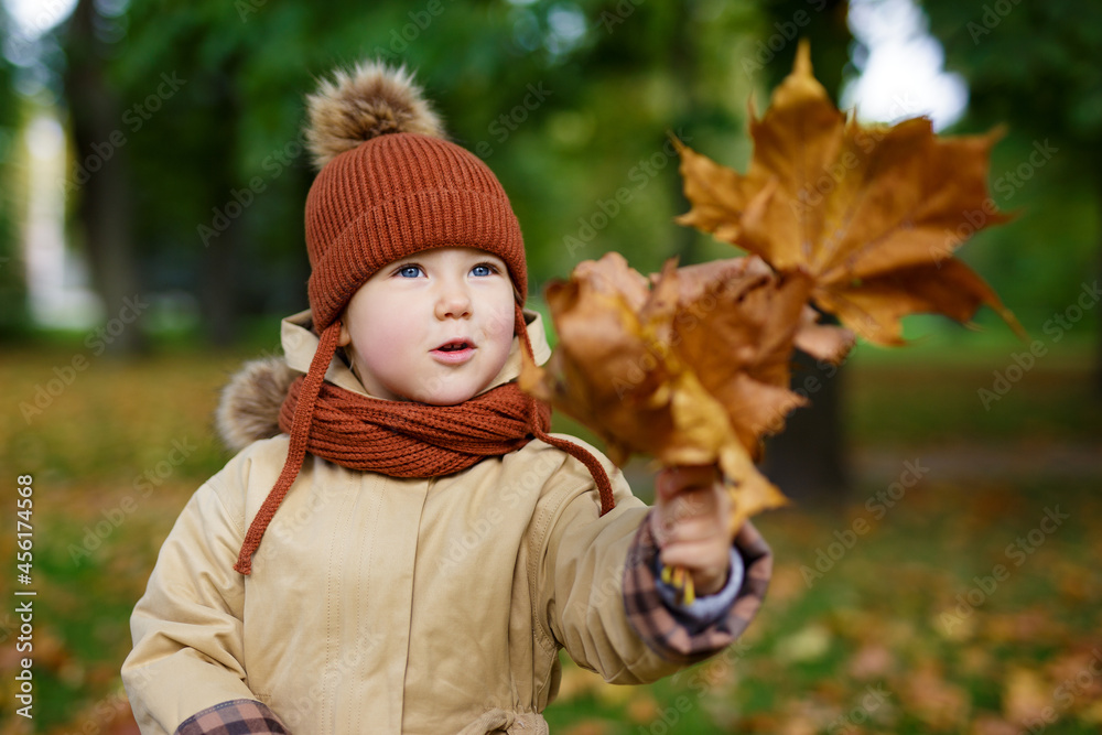 cute little girl playing with foliage in autumn park cute little girl playing with foliage in autumn park