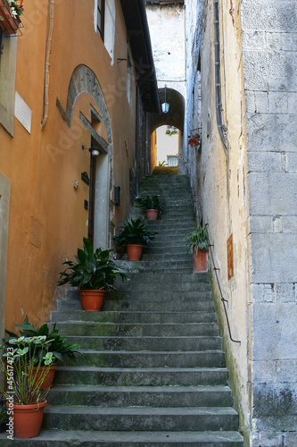 Steile Treppe mit Pflanzk  beln in einer engen Gasse in der Altstadt von Barga Toskana