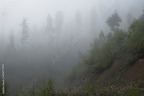 Misty landscape. Morning fog sunrise high in the Carpathian mountains in Ukraine.