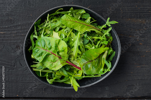 Arugula raab and Mangold  Swiss chard set  on black wooden table background  top view flat lay