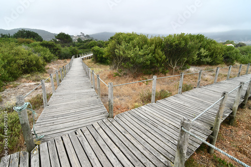 wooden bridge in forest, photo as a background , in north portugal, europe , In Afife, Viana do Castelo, north portugal. photo