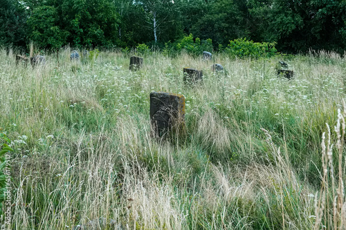 Ancient tombstones on Kirkut or old Jewish cemetery in Korets town, Rivne region, Ukraine. August 2021