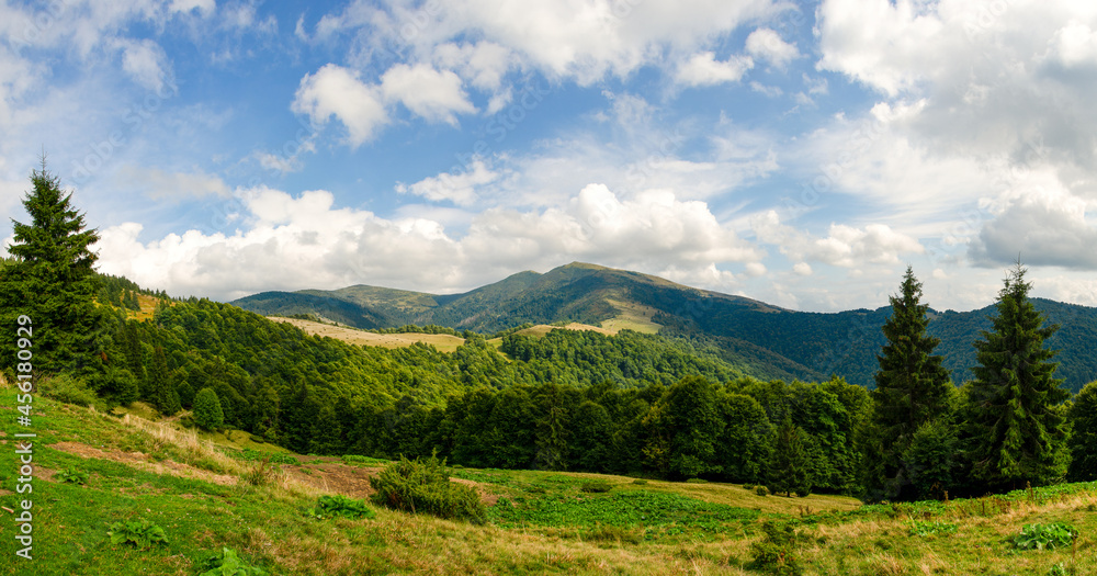 Panorama of the Carpathian mountains in August landscape with grass, trees, sky
