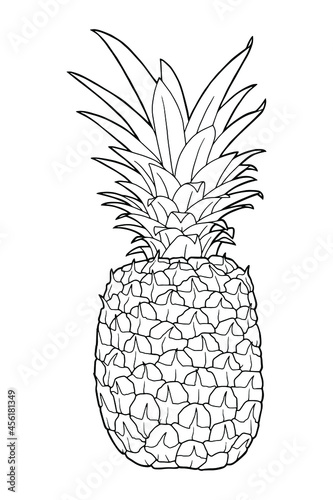 Realistic pineapple illustration. Juicy tropical fruit. Botanical illustration. Coloring page. Black outline. 