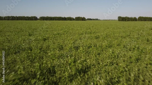 flight over the beautiful fields of Siberia