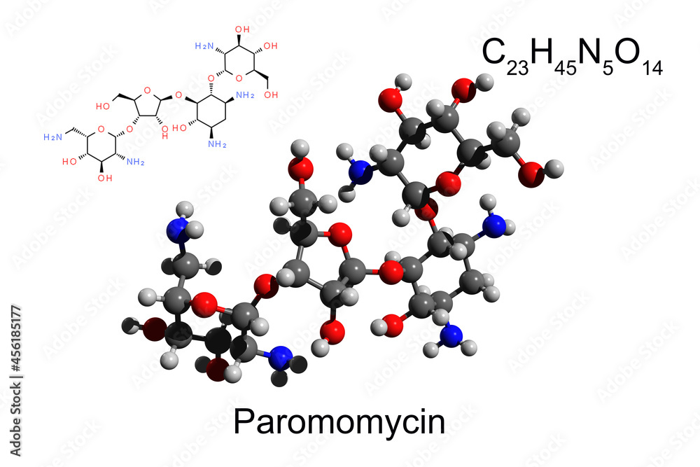 Chemical formula, structural formula and 3D ball-and-stick model of aminoglycoside antibiotic paromomycin, white background Chemical formula, structural formula and 3D ball-and-stick model of aminoglycoside antibiotic paromomycin, white background