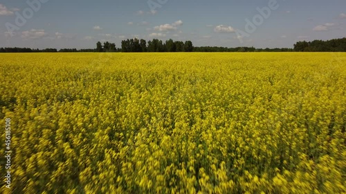 flight over the beautiful fields of Siberia