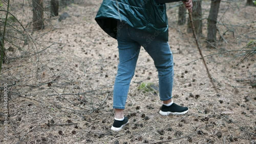a girl walks through a dense forest in search of mushrooms a girl walks through a dense forest in search of mushrooms
