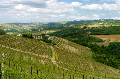 Landscape of Langhe  Piedmont  Italy near Dogliani at May