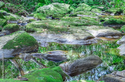 Photography River bed in Sydney National Park with lovely green rocks with moss and tiny pla