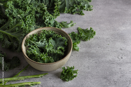 Fresh torned kale leaves in bowl and whole kale leaves on gray textured background. Cooking kale salad
