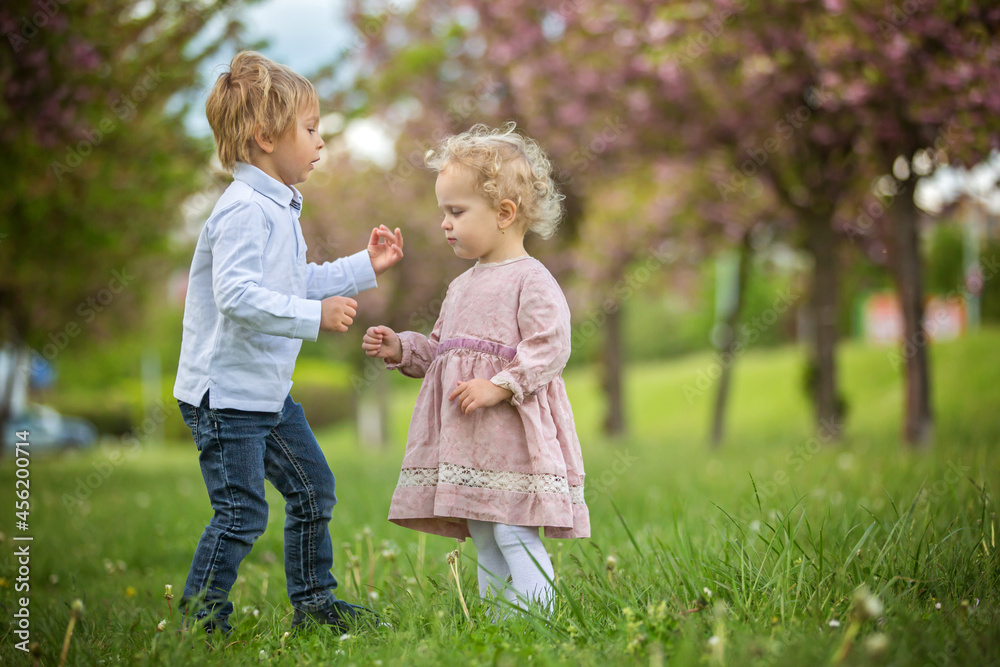 Beautiful children, toddler boy and girl, playing together in cherry blossom garden,boy giving a little bouquet of wild flowers to the girl. Kids friendship Beautiful children, toddler boy and girl, playing together in cherry blossom garden,boy giving a little bouquet of wild flowers to the girl. Kids friendship