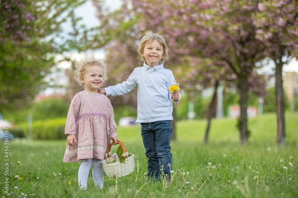 Beautiful children, toddler boy and girl, playing together in cherry blossom garden,boy giving a little bouquet of wild flowers to the girl. Kids friendship Beautiful children, toddler boy and girl, playing together in cherry blossom garden,boy giving a little bouquet of wild flowers to the girl. Kids friendship