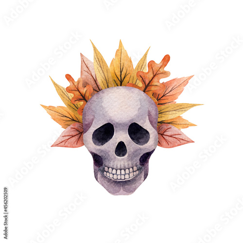 Watercolor skull with autumn wreath. Nice hand drawn elements for your halloween design. On white background isolated.