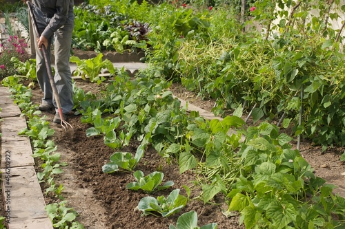 a gardener is digging soil in a vegetable garden
