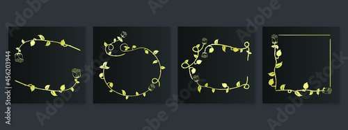 collection forest fern eucalyptus art foliage natural
leaves herbs inline style. Decorative beauty, elegant illustration 
Vector Flower Botanical