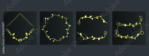 collection forest fern eucalyptus art foliage natural
leaves herbs inline style. Decorative beauty, elegant illustration 
Vector Flower Botanical