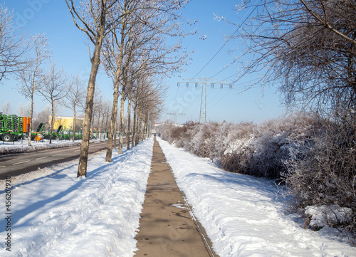 A snowy path in a garden club in winter