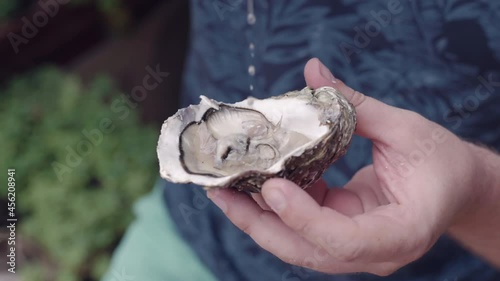Fresh raw oysters delicatessen, man tasting oyster with squeezed lemon juice. Mediterranean oysters rich with omega-3, vitamins and energy, healthy seafood and fish market products