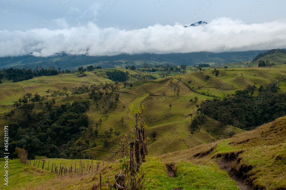 Natural landscape of grazing field with rustic fence limiting the farms. Colombia