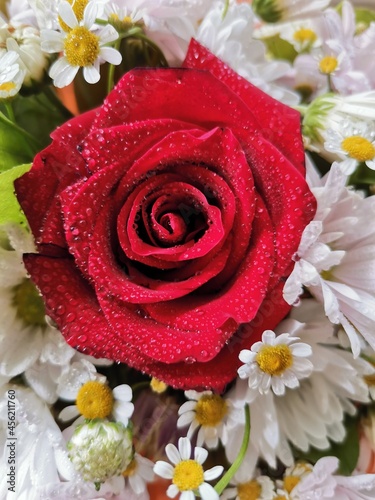 bouquet of red rose and white daisies