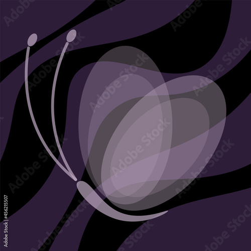 Butterfly abstract shape black wave background