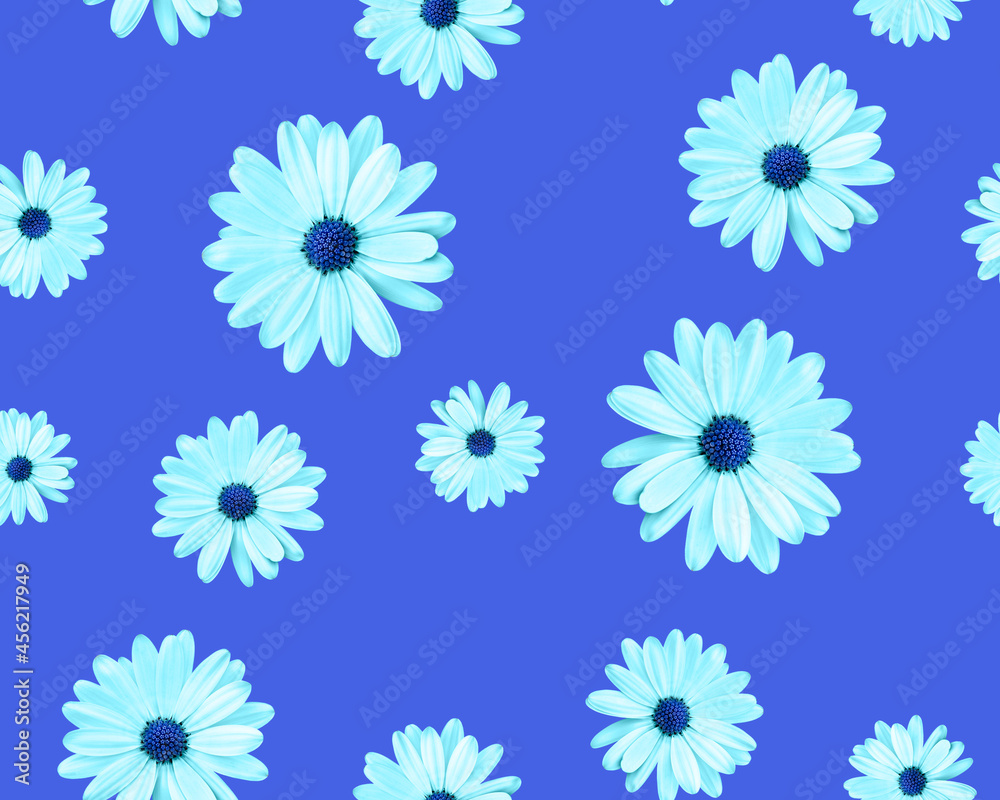 Chamomiles with a blue center on a blue background. Beautiful seamless pattern. Chamomiles with a blue center on a blue background. Beautiful seamless pattern.