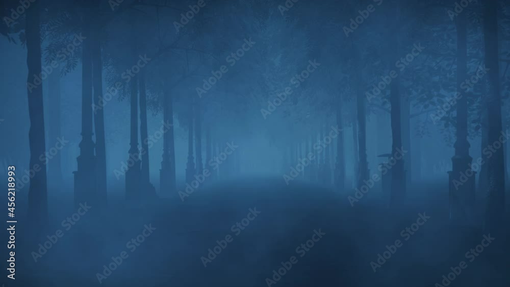 Walking slowly through the path of a haunted forest at night.