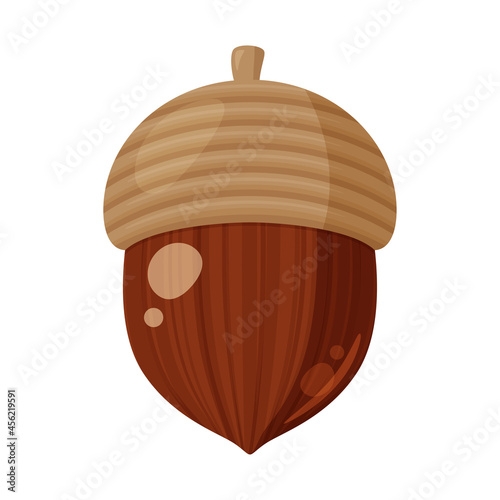 どんぐりのイラスト_1個