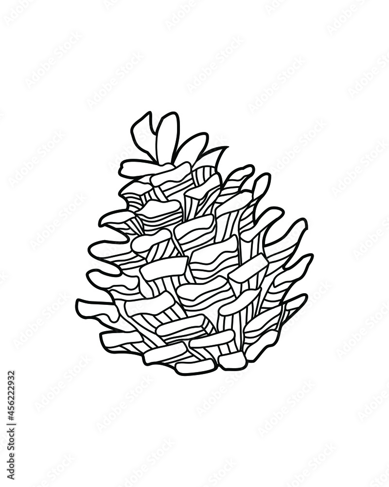 Hand drawn vector illustration of fir cones. Autumn and winter plant decorated with pattern Design element for print, label, logo, packaging template. Coloring. Vector outline illustration. Hand drawn vector illustration of fir cones. Autumn and winter plant decorated with pattern Design element for print, label, logo, packaging template. Coloring. Vector outline illustration.