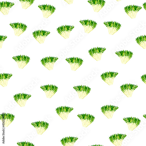 Seamless pattern frisee salad on white background. Simple ornament with lettuce.