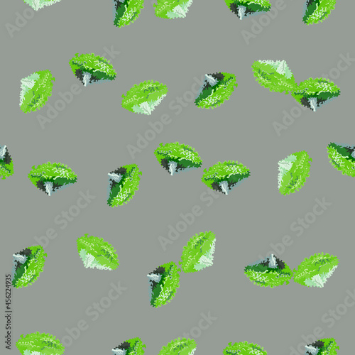 Seamless pattern lola rosa salad on gray background. Abstractornament with