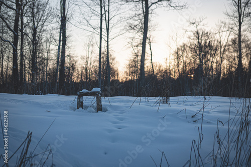 old snow covered chair some fisherman left on river bank, golden january sunset light through forest trees