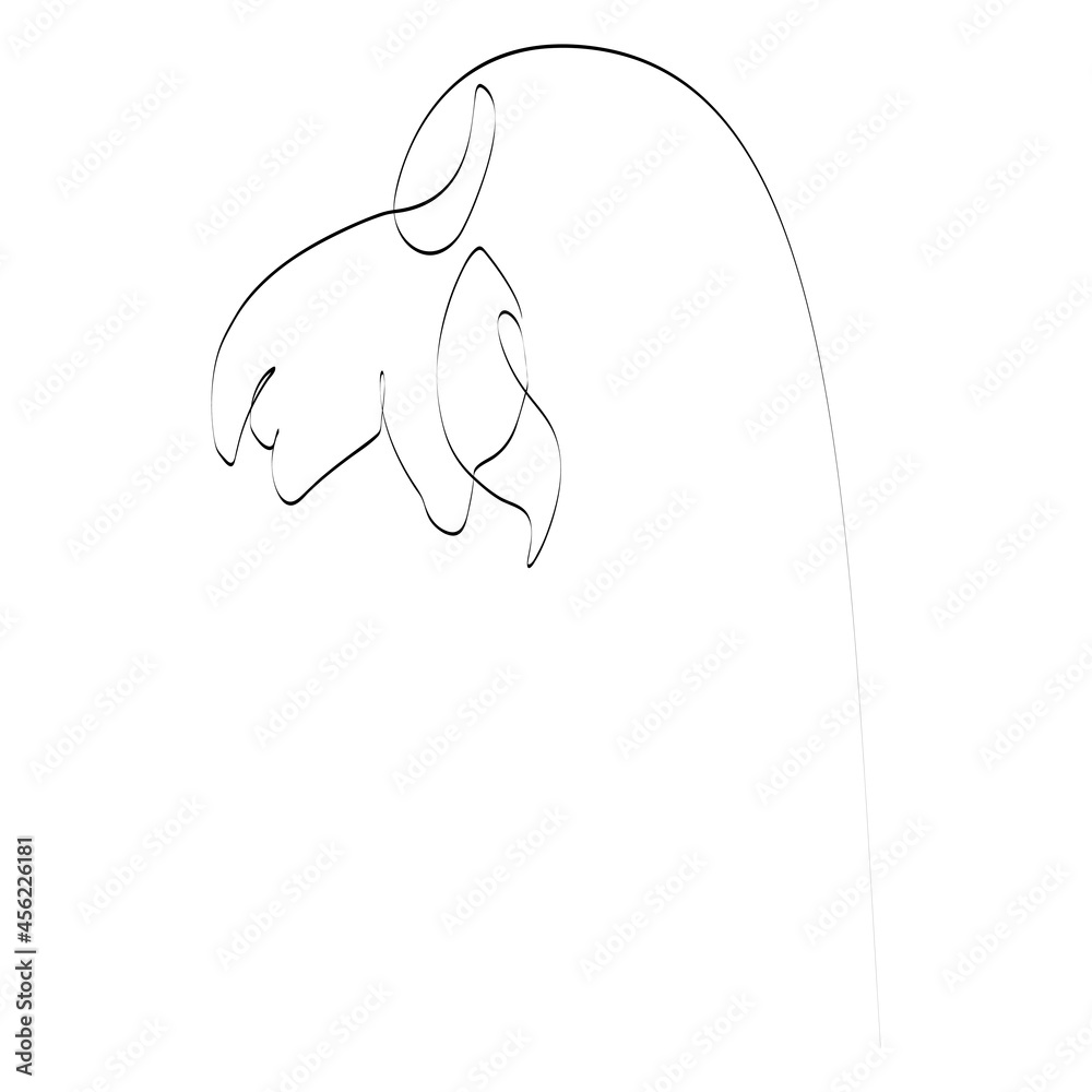 Obraz premium Summer Snowflake or Loddon Lily flower line art. Minimalist contour drawing. One line artwork