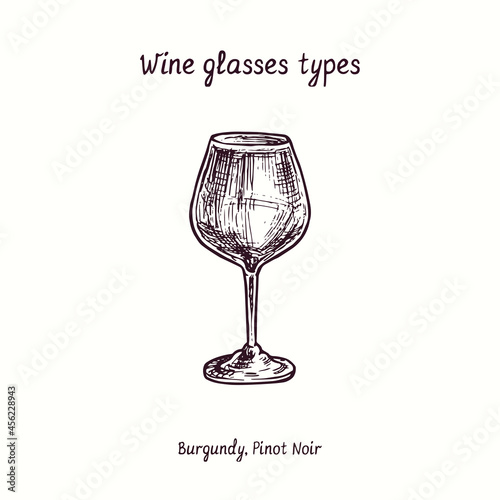 Wine glasses types collection, Burgundy, Pinot Noir. Ink black and white doodle drawing in woodcut style.