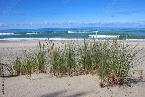 View of a sand dune with a strip of grass  the sea and the sky