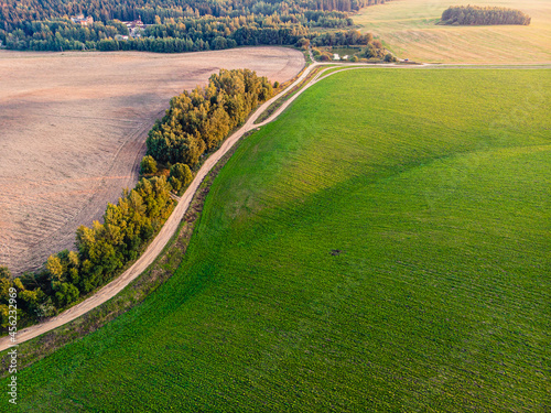Aerial view of fields in the sunset light, Belarus. Drone aerial panorama