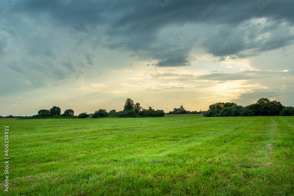 Green meadow and cloudy sky, summer view Green meadow and cloudy sky, summer view