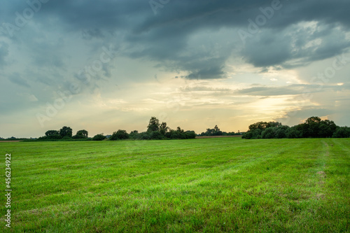 Green meadow and cloudy sky, summer view © darekb22
