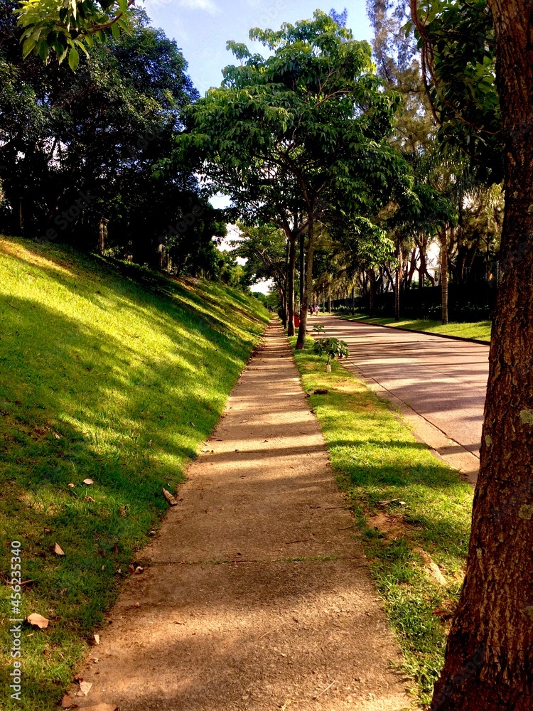 Fototapeta premium Sidewalk of Park