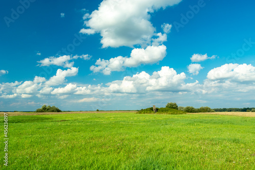 Green meadow and white clouds on the blue sky