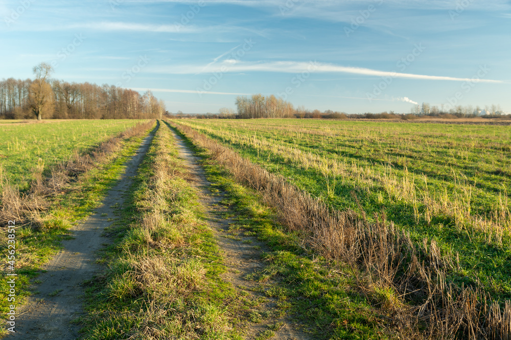Dirt road through green fields, spring day Dirt road through green fields, spring day
