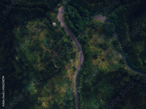 topview of the road and texture forest