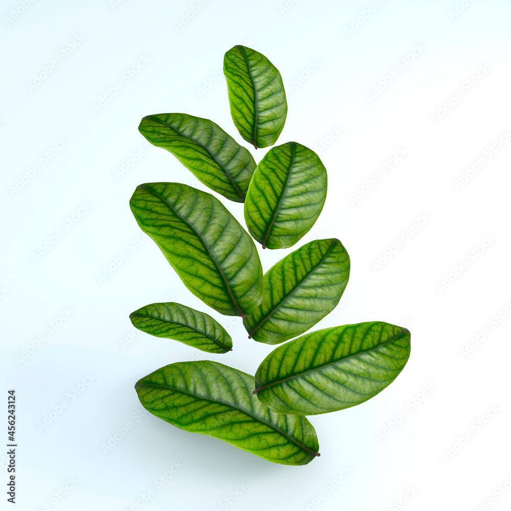 3D rendering, green leaves isolated on white 3D rendering, green leaves isolated on white